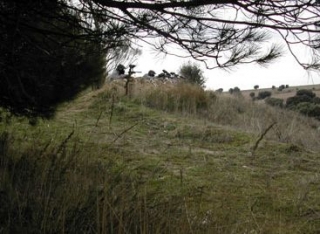  Position of the hill 